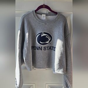 Penn State Nittany Lions Cropped Crewneck Sweatshirt Gray XL — Game Day College